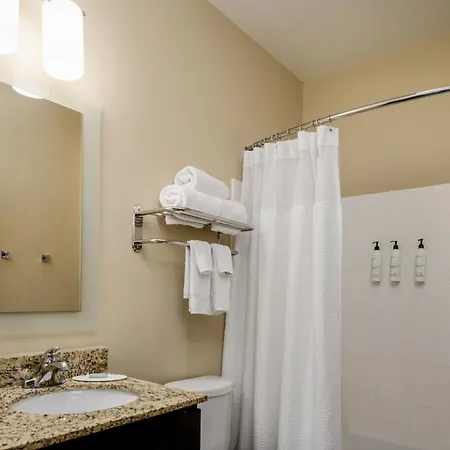 Towneplace Suites By Marriott Houston Galleria Area Exterior foto